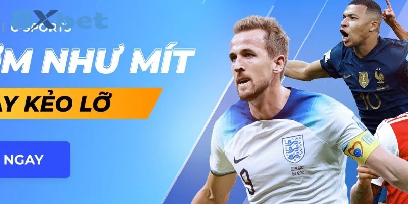 Hướng dẫn đăng ký và quản lý tài khoản tại 8XBET