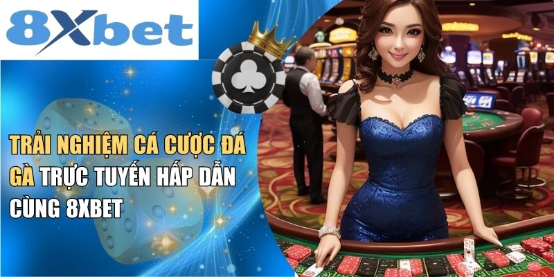 Sơ lược thông tin về đá gà 8XBET