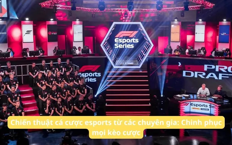 Soi Kèo Esport 8XBET Hôm Nay: Phân Tích Chuyên Sâu, Tăng Cơ Hội Thắng